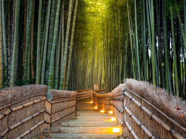  Hình ảnh về Kyoto được chia sẻ nhiều nhất trên Instagram là những rừng tre rậm rạp, to khỏe, tràn đầy sức sống bền bỉ với thời gian tìm thấy ở huyện Arashiyama. 