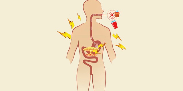  Trao đổi chất là quá trình bên trong mỗi tế bào, chuyển calo bạn ăn thành nguồn năng lượng giúp bạn sinh sống 