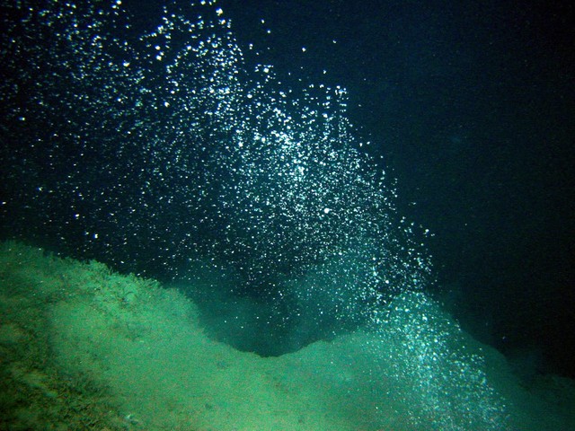 
Bong bóng khí methane dưới nước.
