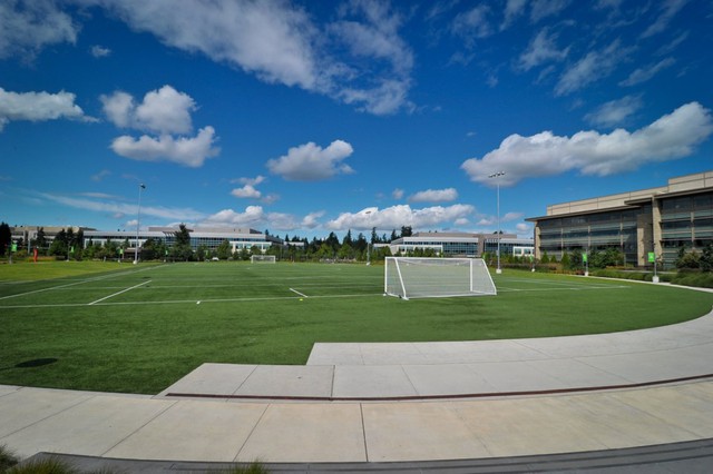 Nhân viên muốn vận động sau thời gian ngồi văn phòng lâu có thể tham gia đá bóng tại sân cỏ như thế này