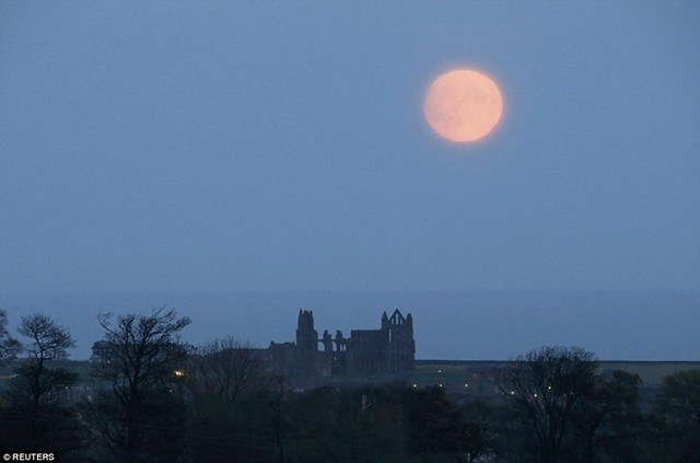 Mặt trăng mọc ở nước Anh ngày 13/11. Đây chưa phải thời điểm trăng tròn nhất. Ảnh: Reuters.