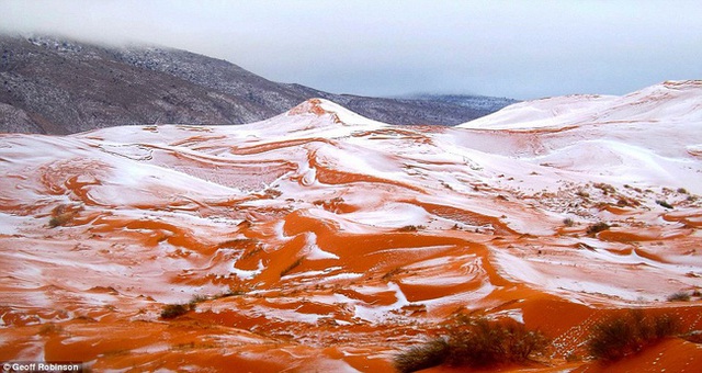 Tuyết rơi tại Sahara