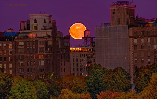 Hunter’s moon là tên gọi của một kỳ trăng tròn trong năm theo âm lịch. Trong tiếng Anh, mỗi kỳ trăng đều có tên gọi riêng, và Hunter’s moon là kỳ trăng tròn đầu tiên sau lễ trung thu. Bức ảnh ghi lại cảnh trăng lên ở thành phố New York (Mỹ) ngày 16/10. Ảnh: Twitter/Inga Sarda-Sorensen 