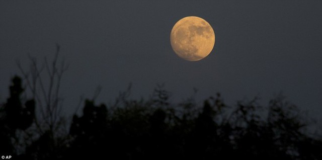 Mặt trăng nhìn từ thung lũng Hefer ở Israel. Vệ tinh của trái đất sẽ chạm tới cận điểm vào lúc 8h52 sáng ngày 14/11 theo giờ chuẩn miền Đông (EST, 20h52 ngày 14/11 giờ Hà Nội) và trăng tròn sẽ đạt đỉnh trong khoảng 2-3 giờ sau đó. Ảnh: AP.