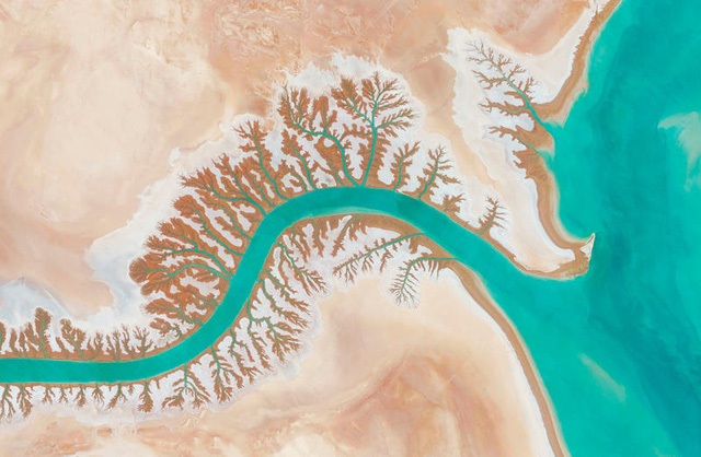  Hệ thống thoát nước với hình đuôi gai ở vịnh Lagoon Shadegan Musa, Iran, nhìn từ trên cao như rễ cây phân thành nhiều nhánh. 