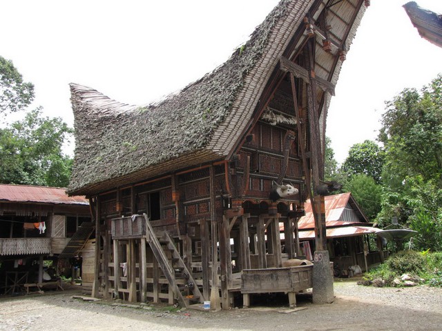  Tuy vậy, một tộc người ở Indonesia vẫn duy trì kiểu nhà sàn giống hệt với những hình vẽ trên trống đồng Đông Sơn. Đó là tộc người Toraja sống trên đảo Sulawesi của Indonesia. 