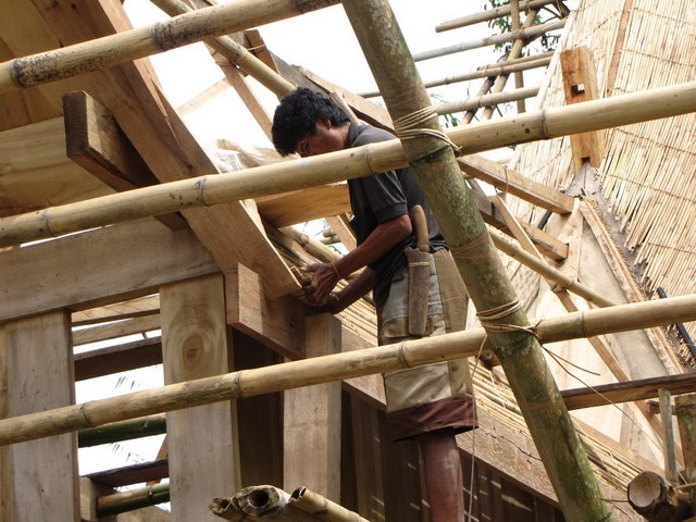  Tongkonan được coi là tài sản thiêng liêng của dòng họ. Mọi người trong họ đều phải tham gia việc dựng nhà. 