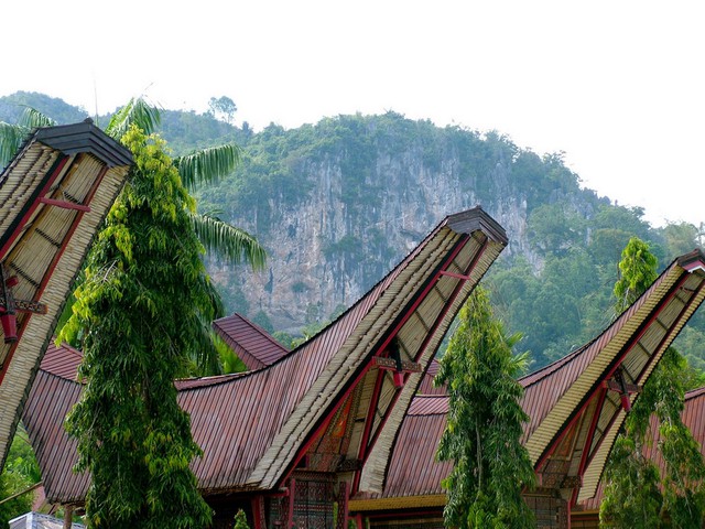  Tuy vậy, sự hội nhập với thế giới cũng khiến nhiều ngôi nhà tongkonan bị biến dạng so với truyền thống. Nhiều tongkonan sử dụng mái tôn thay cho vật liệu thiên nhiên. 