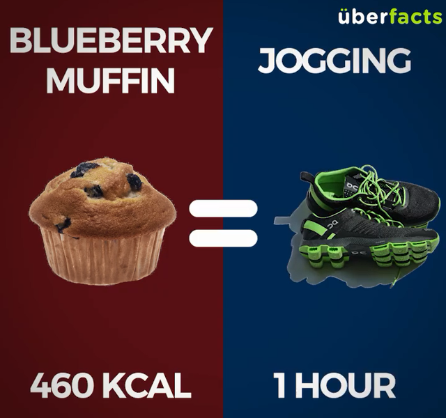  1 chiếc bánh muffin việt quất (460Kcal) = Đi bộ 1 tiếng 