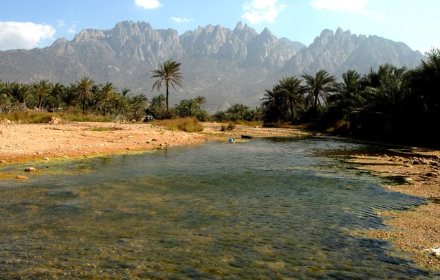  Một góc đảo Socotra, Yemen 