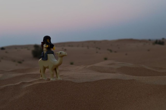  Không thể bỏ qua thú cưỡi lạc đà trên sa mạc Arabian 