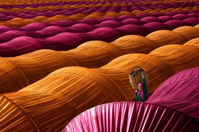  Giải nhất chủ đề du lịch thuộc về tác phẩm Thu hoạch dâu tây trong nhà kính (Strawberry Greenhouses), về một người phụ nữ làm nghề hái dâu đang đi lại giữa trùng trùng lớp lớp nhà kính đầy màu sắc gần Nazilli, tỉnh Aydin, Thổ Nhĩ Kỳ 