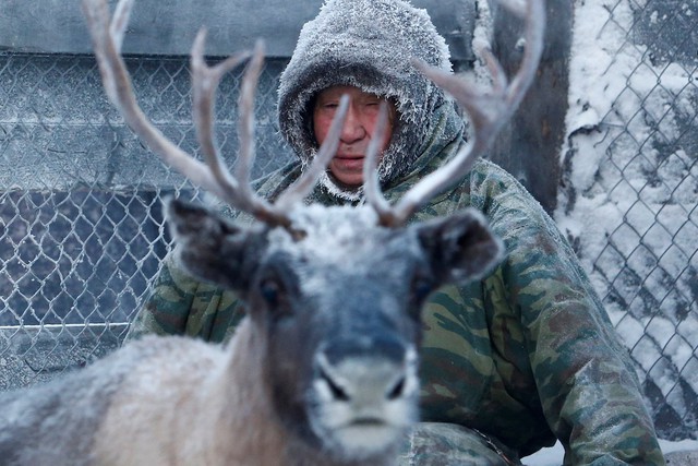 Nhiệt độ tại Nenets có khi xuống thấp -40 độ C