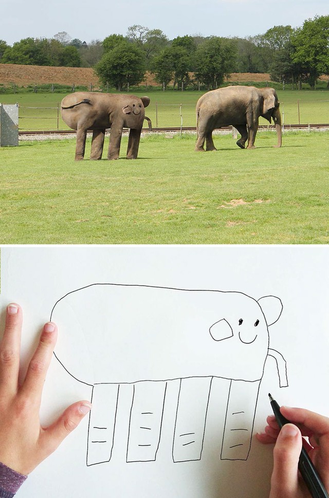  Chú voi có cái vòi hơi dị 