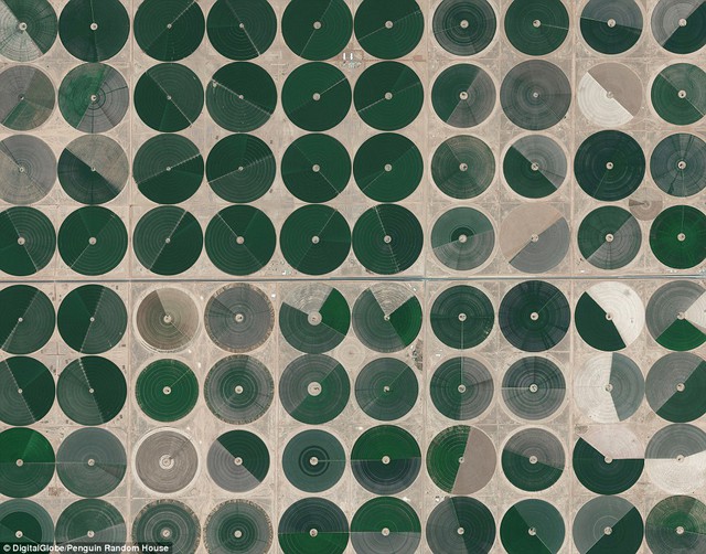  Trung tâm tưới tiêu trục xoay được sử dụng trên khắp vịnh Wadi As-Sirhan của Arab Saudi. Nước được khai thác từ độ sâu hơn 1.000km (xấp xỉ 3.000 ft), bơm lên bề mặt cho các bình tưới được phân bố đều theo hàng và xoay 360 độ xung quanh một động cơ trung tâm. 