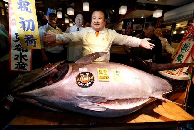  Kiyoshi Kimura còn được mệnh danh là vua cá ngừ. Ông cũng là người mua được con cá ngừ giá cao kỷ lục (gần 1,8 triệu USD) vào năm 2013. 