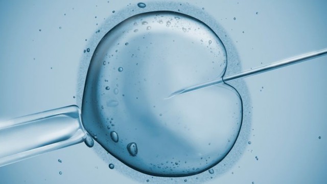  Sự cố thụ tinh trong ống nghiệm: 26 đứa trẻ sinh ra có nguy cơ lẫn lộn cha mẹ 