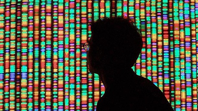  Một người đứng trước màn điện tử hiển thị dữ liệu khổng lồ của bộ gen 