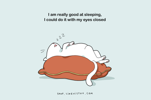  Tôi ngủ rất giỏi, nhắm mắt cũng làm được 