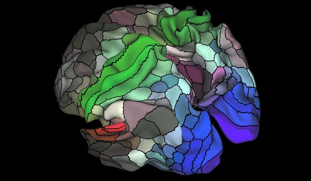 Bản đồ não bộ mới với 180 vùng, trong đó có 97 vùng chưa từng được biết đến trước đây