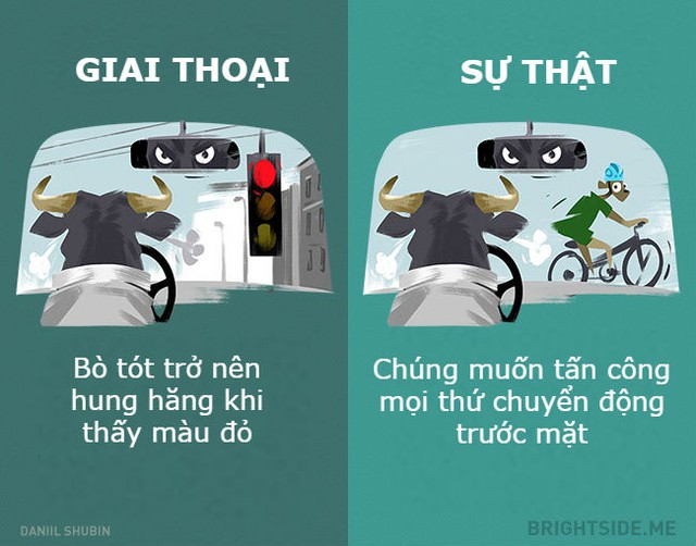  Anh đâu có ghét màu đỏ như thiên hạ đồn đại 