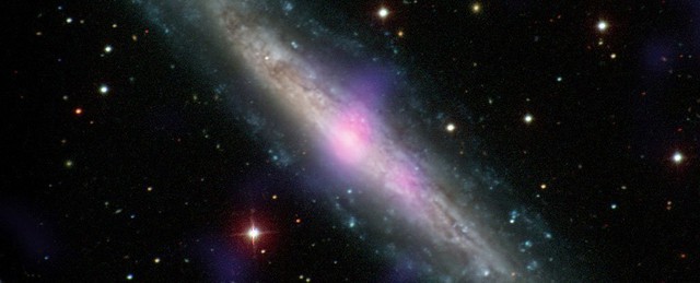 Hình ảnh của thiên hà NGC 1448