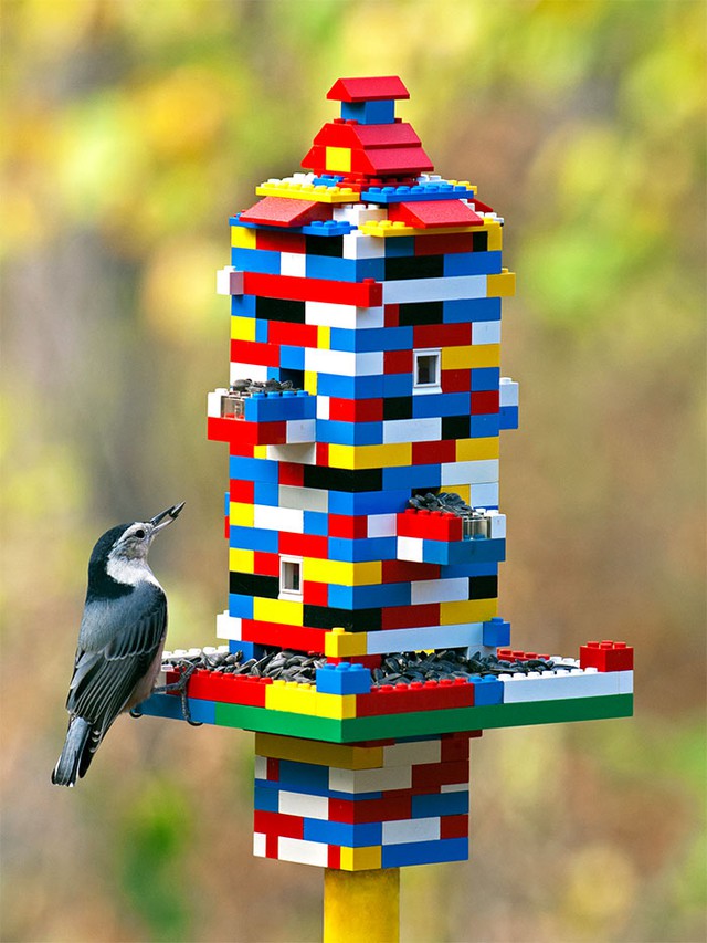 
Máng cho chim ăn: đến người còn không chống lại được sự cám dỗ của LEGO, huống chi là... chim
