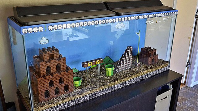 
Bể cá LEGO theo phong cách Mario, tuy nhiên phải chắc chắn rằng LEGO của bạn là hãng chính hãng nếu không lũ cá sẽ bị... ngộ độc
