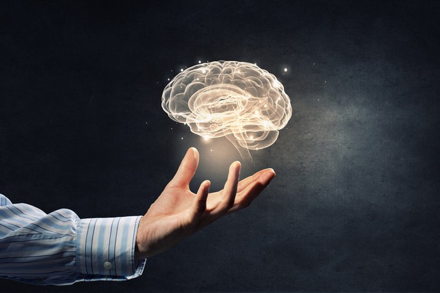  Bằng luyện tập, một bộ não “cá vàng” trở thành bộ não của những nhà vô địch trí nhớ 