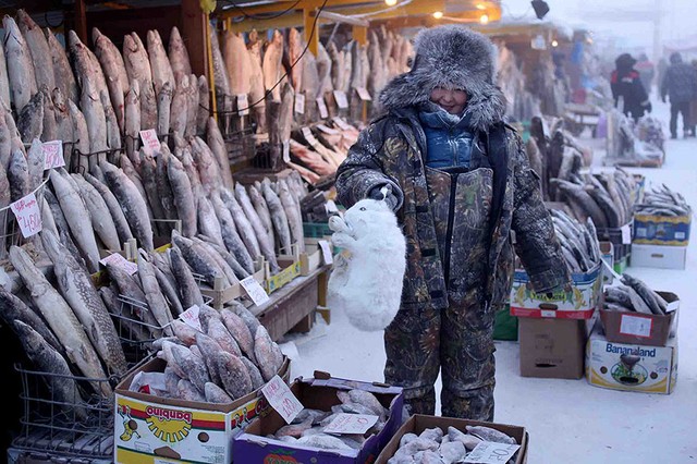  Ngoài chợ đầy rẫy thịt động vật và cá vì hầu như không thể canh tác trong điều kiện nhiệt độ khắc nghiệt như thế này 
