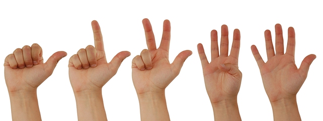  Tại sao bàn tay con người có 5 ngón, chứ không phải 4 hoặc 6? 