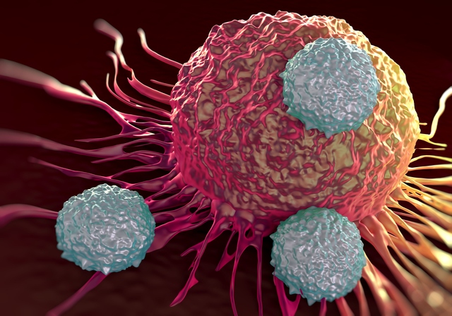  Cho tế bào miễn dịch ăn các hạt nano, chúng sẽ biến thành một đội quân diệt ung thư ngay trong cơ thể 
