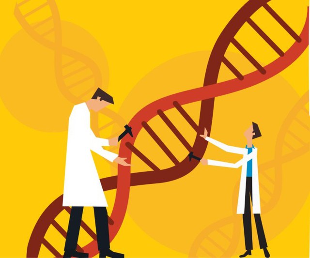  Liệu đã đến lúc chúng ta nên áp dụng công nghệ chỉnh sửa gen với con người? 