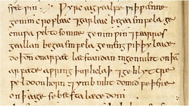  Balds Leechbook, tài liệu ghi nhận một công thức điều trị nhiễm khuẩn có mặt từ thế kỷ IX 
