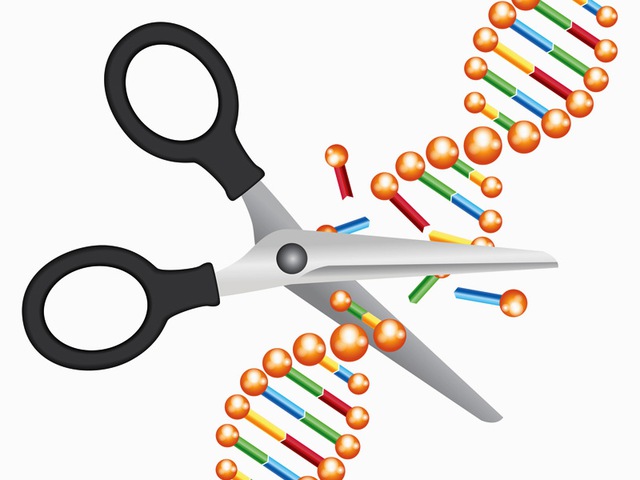  Làm thế nào để lừa được những con vi khuẩn, sử dụng chính hệ thống CRISPR quay lại cắt DNA của mình? 