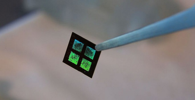  Một trong 15 màng lọc microchip trong quả thận nhân tạo 