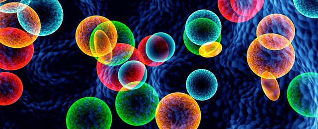  Các nhà khoa học tạo ra các đĩa nano tiêu diệt ung thư chỉ trong 10 ngày 