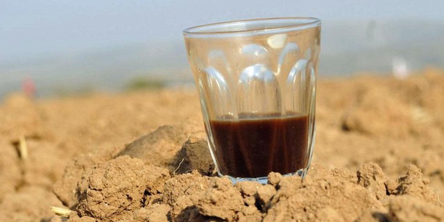  Uống cà phê thường xuyên không hề khiến cơ thể bị mất nước 