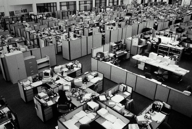 
So với những năm 1950, số công việc bàn giấy đã tăng gần gấp đôi
