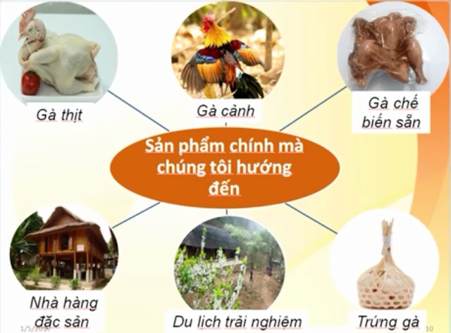  Các đầu ra của dự án khởi nghiệp Gà Cáy Con. 