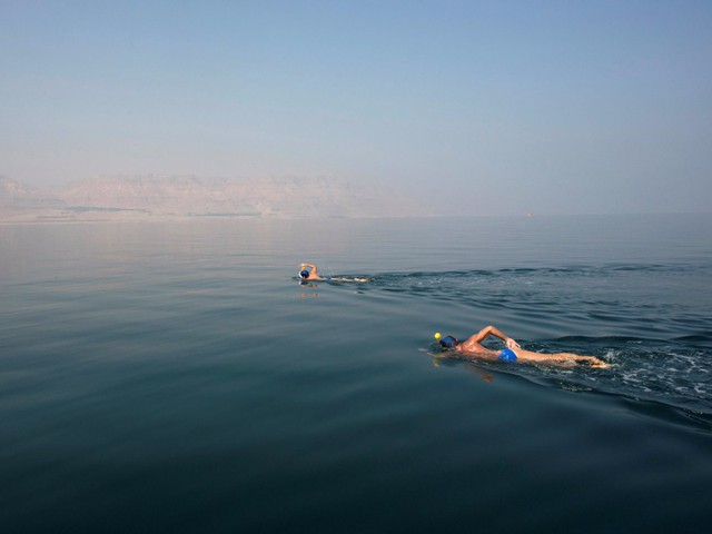  Hai kình ngư tham gia sự kiện Bơi Qua Biển Chết. 