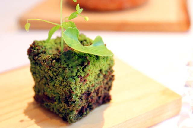 Món ăn có tên ‘’Mối liên kết với rừng rậm’’, gồm hành tây với vụng bánh mì và rau, được tạo hình sao cho giống một hòn đá phủ rêu.