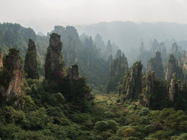  Dãy núi Tianzi ở Trung Quốc với hàng nghìn ngọn núi cao chót vót xếp cạnh nhau, chính là nguồn cảm hứng cho bộ phim đình đám “Avatar”. 