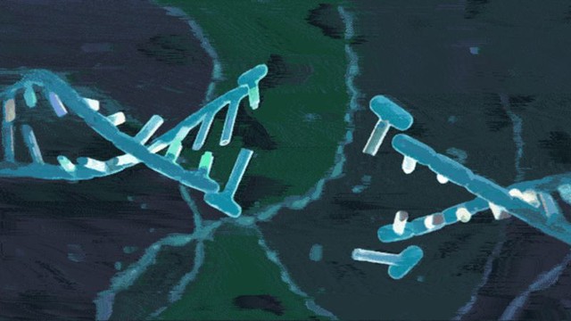  CRISPR ngày càng tỏ ra là một công cụ y tế đầy hứa hẹn của thế kỷ 21 