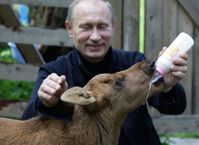 Những góc nhìn khác về tổng thống Putin