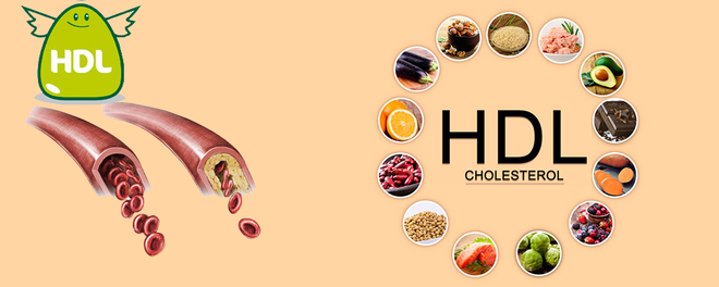  Các loại thực phẩm giàu cholesterol HDL 