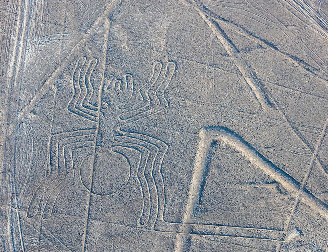  Nazca được tạo ra từ xa xưa, rất lâu trước khi máy bay hay vệ tinh nhân ra đời. 