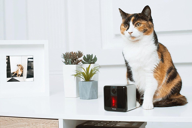  Petcube chuyên về dòng sản phẩm giúp con người tương tác với thú cưng từ xa. 