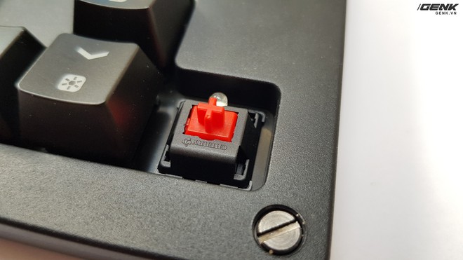  Đối với sản phẩm bàn phím Puri TKL, Cougar cho phép người sử dụng có thể lựa chọn giữa 5 loại Switch khác nhau của Cherry MX, bao gồm Silver, Black, Red, Brown và Blue. 