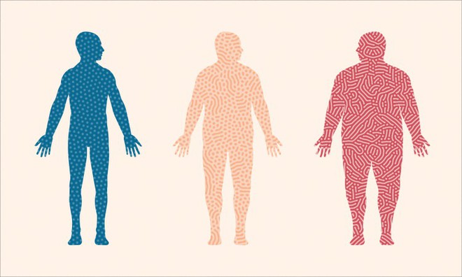  20 năm nghiên cứu đã kết luận: Chất béo không khiến cho bạn béo 